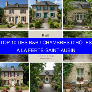 Top 4 des B&B / Chambres d'hôtes à La Ferté-Saint-Aubin